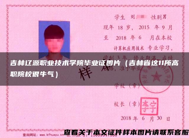 吉林辽源职业技术学院毕业证图片（吉林省这11所高职院校很牛气）