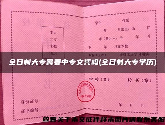 全日制大专需要中专文凭吗(全日制大专学历)