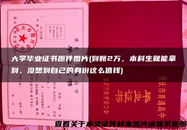 大学毕业证书原件图片(到账2万，本科生就能拿到，没想到自己的身份这么值钱)