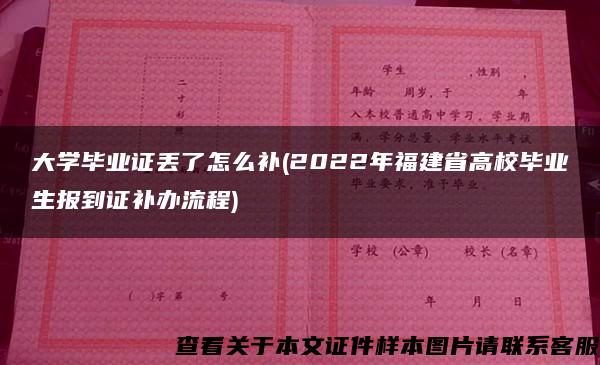 大学毕业证丢了怎么补(2022年福建省高校毕业生报到证补办流程)