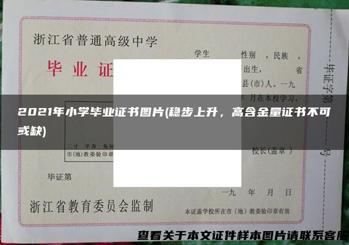 2021年小学毕业证书图片(稳步上升，高含金量证书不可或缺)