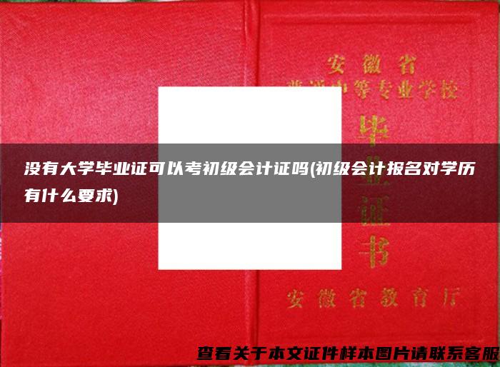 没有大学毕业证可以考初级会计证吗(初级会计报名对学历有什么要求)