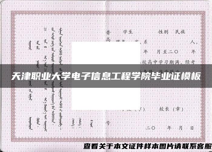 天津职业大学电子信息工程学院毕业证模板