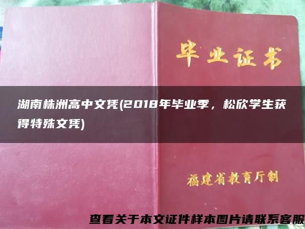 湖南株洲高中文凭(2018年毕业季，松欣学生获得特殊文凭)