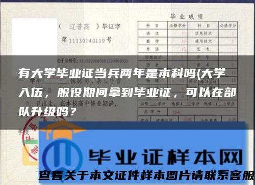 有大学毕业证当兵两年是本科吗(大学入伍，服役期间拿到毕业证，可以在部队升级吗？