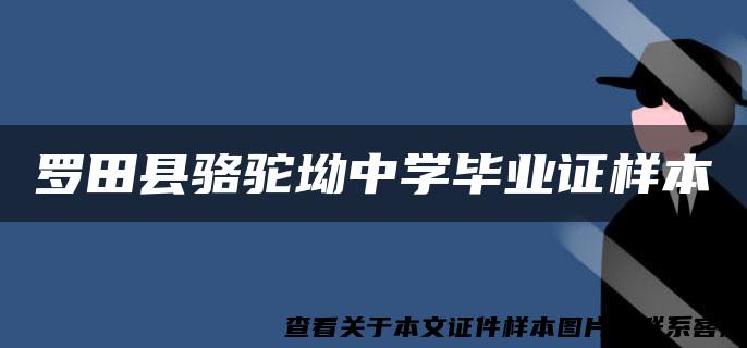 罗田县骆驼坳中学毕业证样本