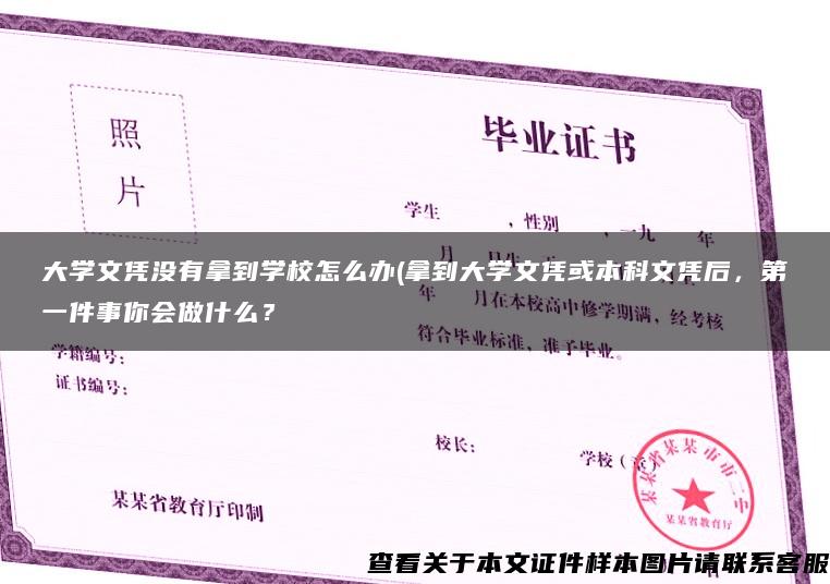 大学文凭没有拿到学校怎么办(拿到大学文凭或本科文凭后，第一件事你会做什么？