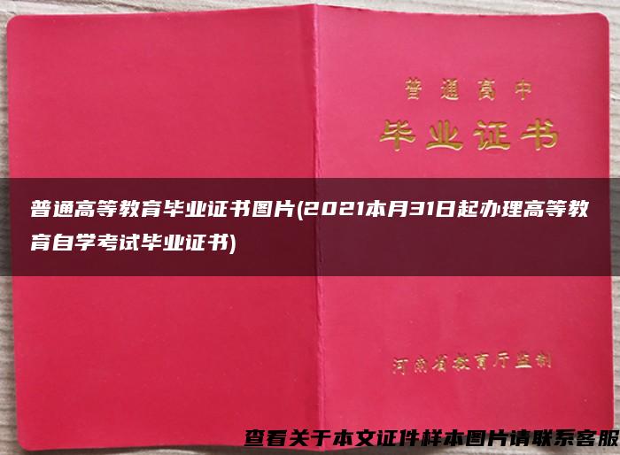 普通高等教育毕业证书图片(2021本月31日起办理高等教育自学考试毕业证书)