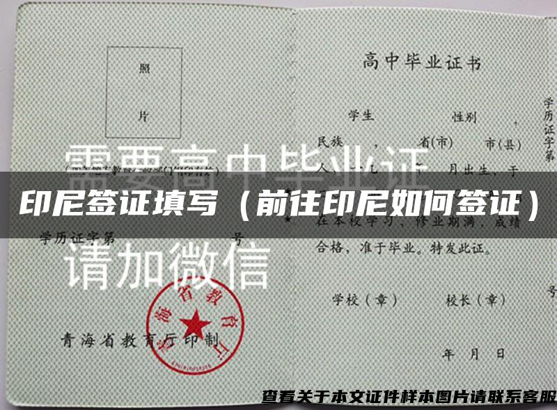 印尼签证填写（前往印尼如何签证）