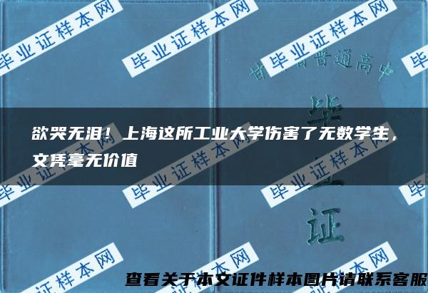 欲哭无泪！上海这所工业大学伤害了无数学生，文凭毫无价值