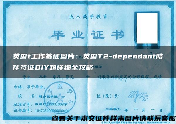 英国t工作签证图片：英国T2-dependant陪伴签证DIY超详细全攻略