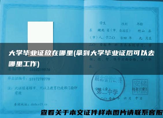 大学毕业证放在哪里(拿到大学毕业证后可以去哪里工作)