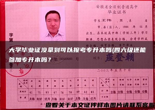 大学毕业证没拿到可以报考专升本吗(四六级还能参加专升本吗？