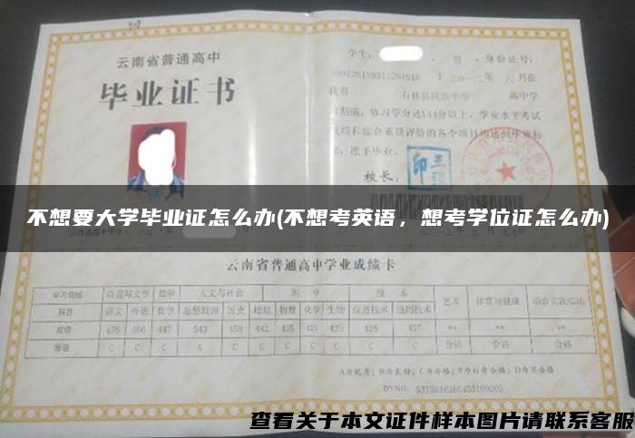 不想要大学毕业证怎么办(不想考英语，想考学位证怎么办)