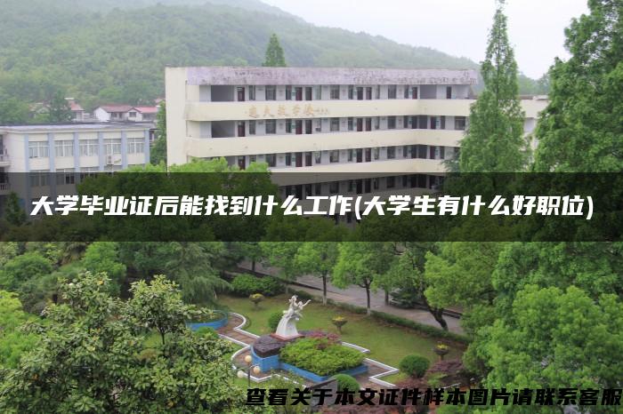 大学毕业证后能找到什么工作(大学生有什么好职位)