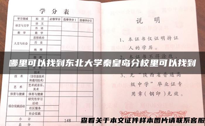 哪里可以找到东北大学秦皇岛分校里可以找到