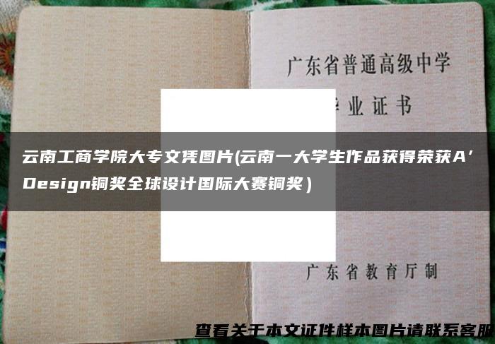 云南工商学院大专文凭图片(云南一大学生作品获得荣获A’Design铜奖全球设计国际大赛铜奖）