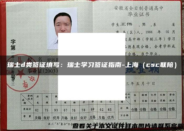 瑞士d类签证填写：瑞士学习签证指南-上海（csc联陪）