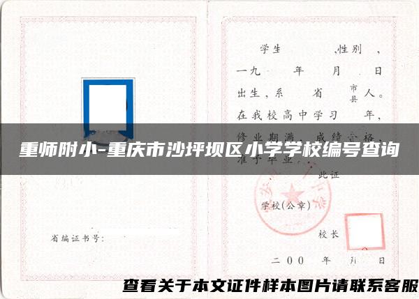 重师附小-重庆市沙坪坝区小学学校编号查询