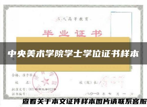 中央美术学院学士学位证书样本