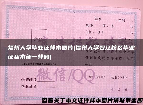 福州大学毕业证样本图片(福州大学晋江校区毕业证和本部一样吗)