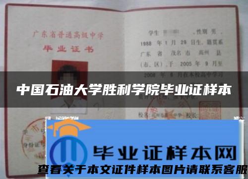 中国石油大学胜利学院毕业证样本