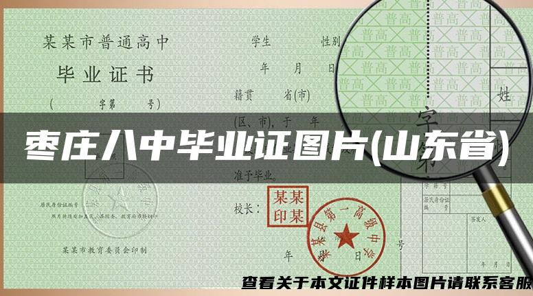 枣庄八中毕业证图片(山东省)