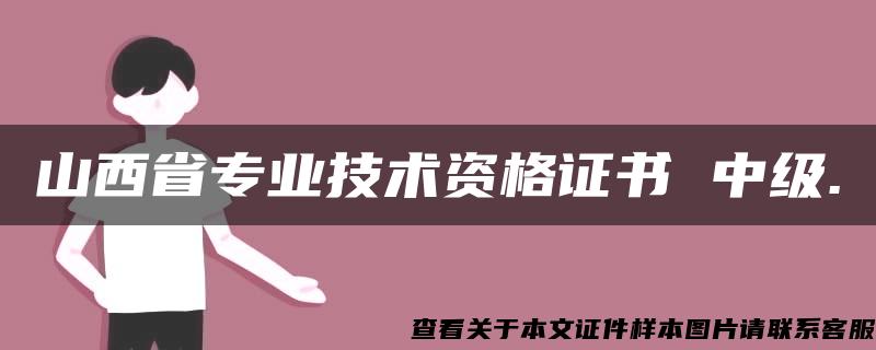 山西省专业技术资格证书 中级.