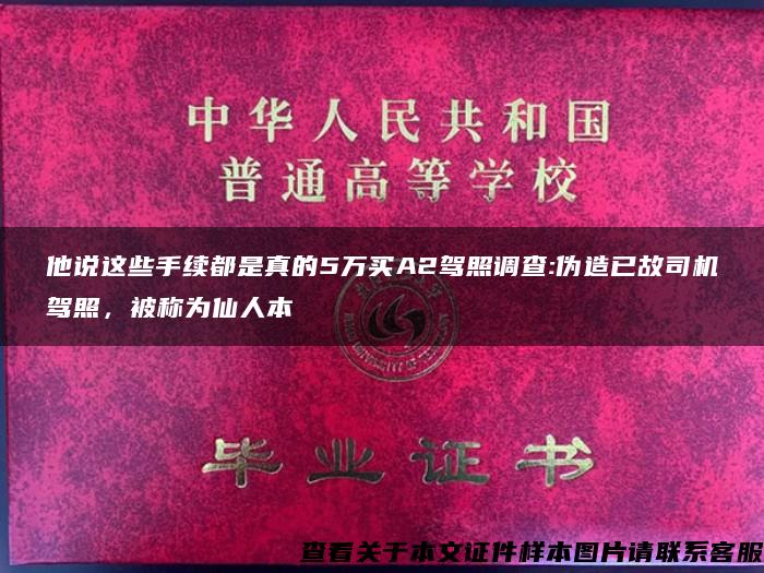 他说这些手续都是真的5万买A2驾照调查:伪造已故司机驾照，被称为仙人本