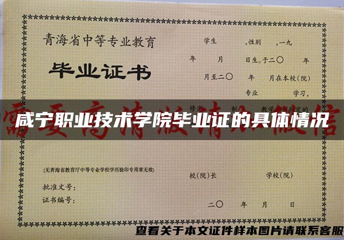 咸宁职业技术学院毕业证的具体情况