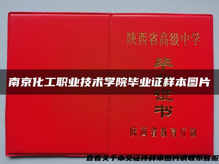 南京化工职业技术学院毕业证样本图片