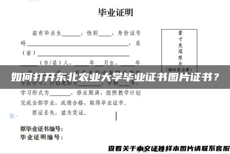 如何打开东北农业大学毕业证书图片证书？