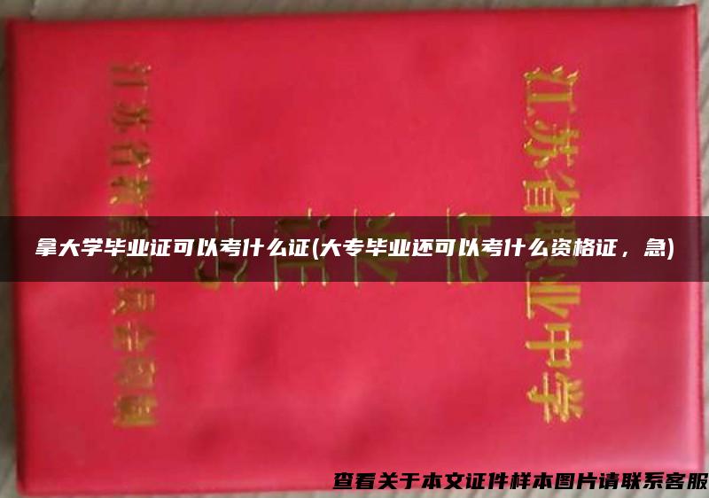 拿大学毕业证可以考什么证(大专毕业还可以考什么资格证，急)