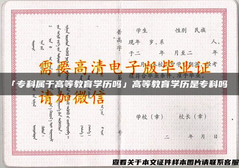 「专科属于高等教育学历吗」高等教育学历是专科吗