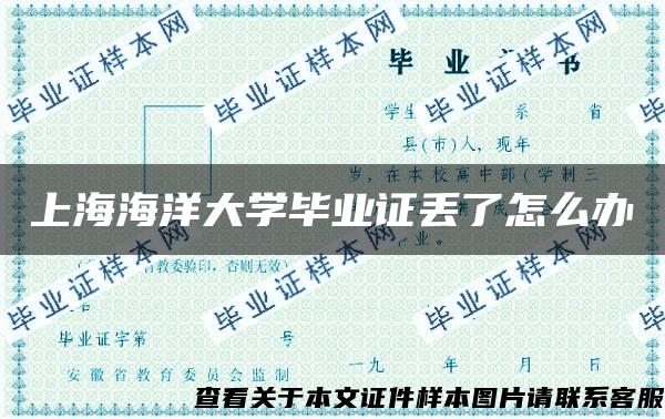 上海海洋大学毕业证丢了怎么办