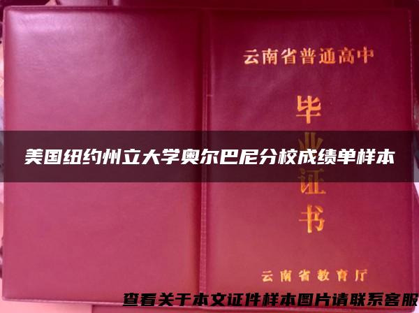 美国纽约州立大学奥尔巴尼分校成绩单样本