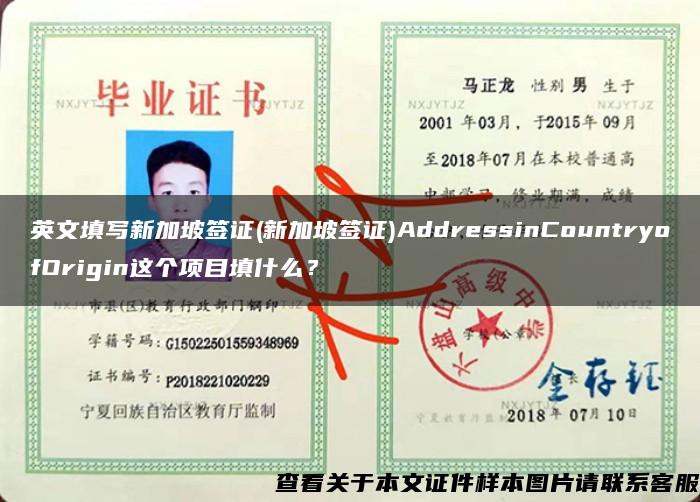 英文填写新加坡签证(新加坡签证)AddressinCountryofOrigin这个项目填什么？