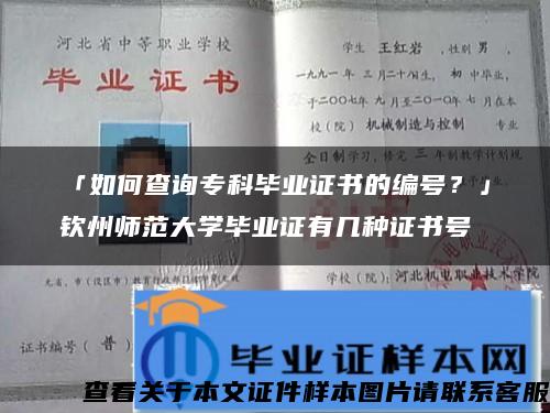 「如何查询专科毕业证书的编号？」钦州师范大学毕业证有几种证书号