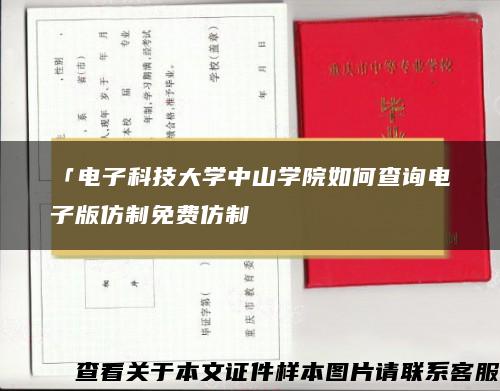 「电子科技大学中山学院如何查询电子版仿制免费仿制