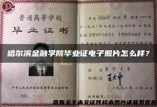 哈尔滨金融学院毕业证电子照片怎么样？