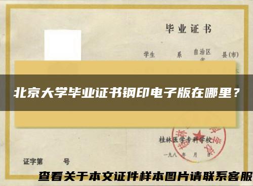 北京大学毕业证书钢印电子版在哪里？