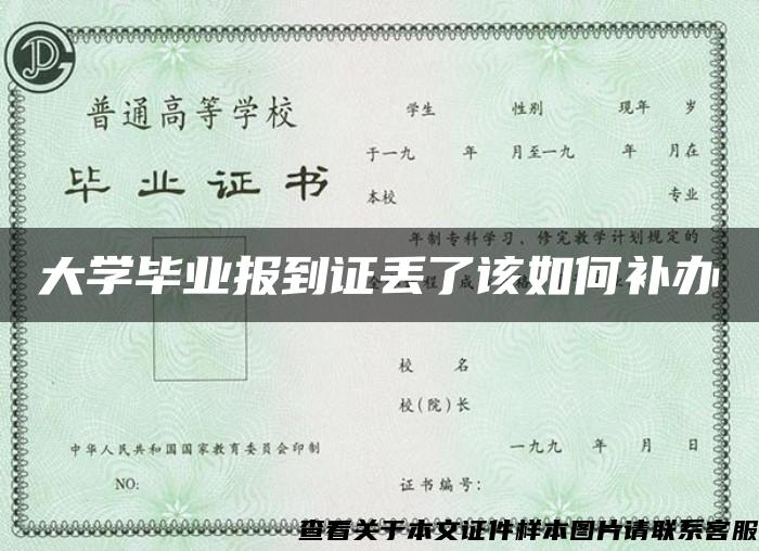 大学毕业报到证丢了该如何补办