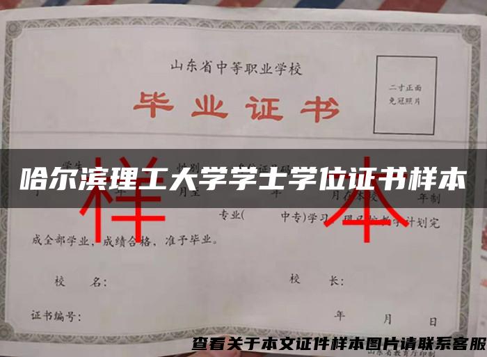 哈尔滨理工大学学士学位证书样本