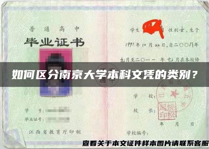 如何区分南京大学本科文凭的类别？