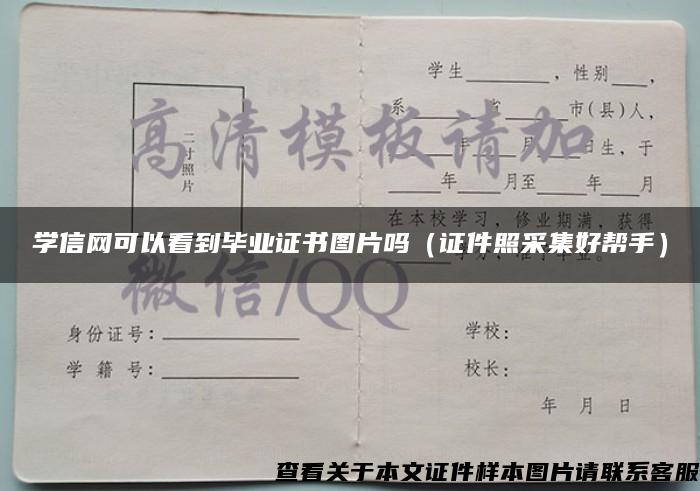 学信网可以看到毕业证书图片吗（证件照采集好帮手）