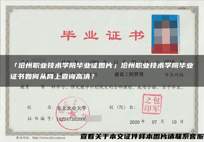 「沧州职业技术学院毕业证图片」沧州职业技术学院毕业证书如何从网上查询高清？