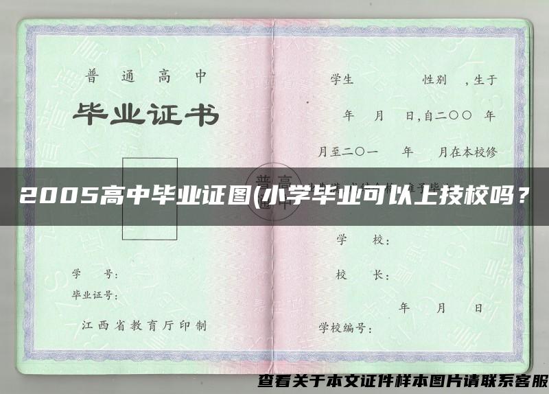 2005高中毕业证图(小学毕业可以上技校吗？