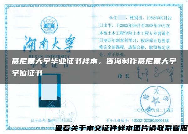 慕尼黑大学毕业证书样本，咨询制作慕尼黑大学学位证书