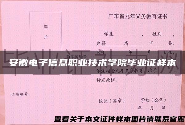 安徽电子信息职业技术学院毕业证样本