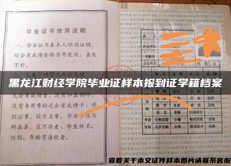 黑龙江财经学院毕业证样本报到证学籍档案